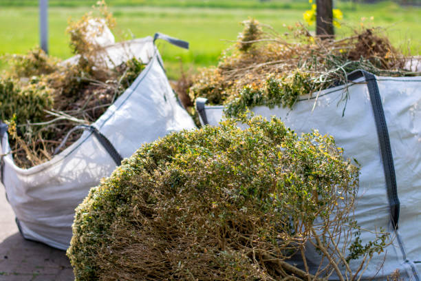 Best Furniture Removal  in Otis Orchards East Farms, WA